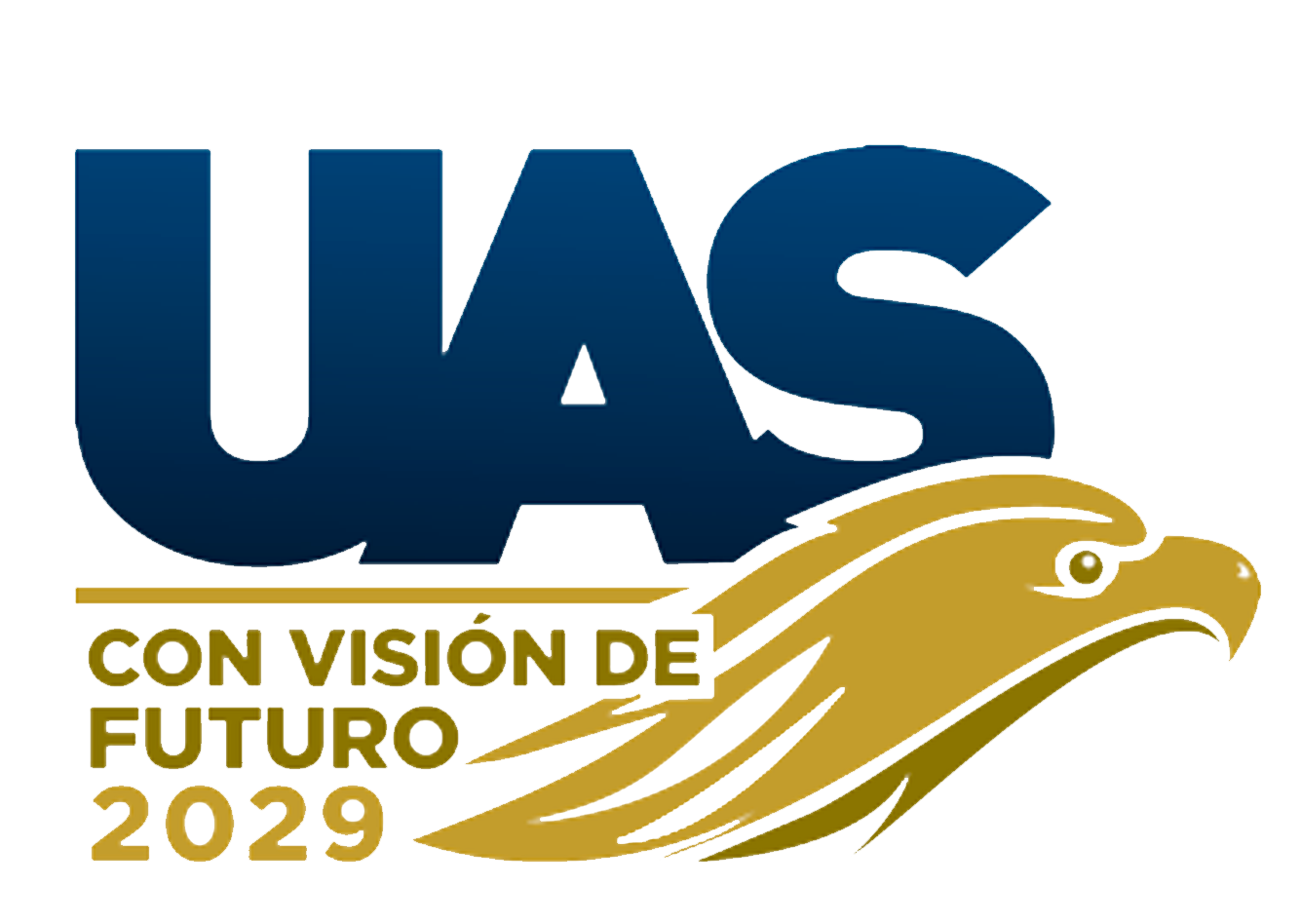 Vision